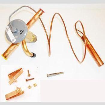 VALVE EXPANSION EBFSE-AAAC INLET STRAINER