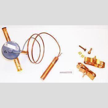 VALVE EXPANSION EBFSE-AZP, INLET STRAINER