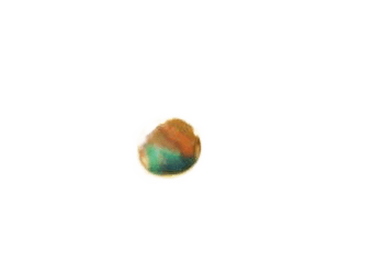 BUTTON, SNAP 1/2" CHROME