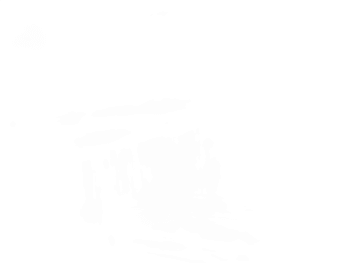 DRAWER SLIDE ASM TOP LT TSSU