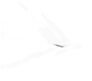 GASKET, TPP-67/93/119 WIDE BLK