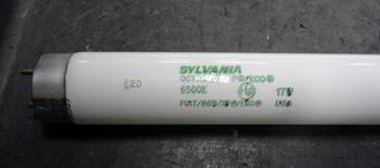 LAMP, F017/865/XP/ECO 24"