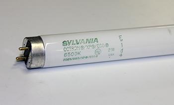 LAMP, F021/865/XP/ECO 30"