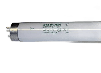 LAMP, F032/741/ECO T8 48" 32W, 4100K