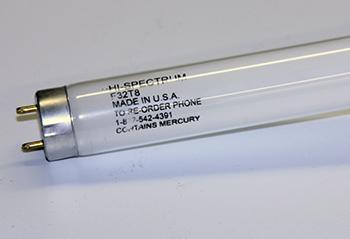 LAMP, F032T8 48" HIGH SPECTRUM