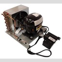 UNIT NT6217Z GDM-52TM-RL 115V