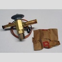 VALVE EXPANSION EBFSE-AC WITH INLET STRAINER