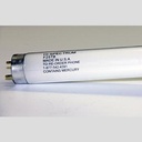 LAMP, F025T8 TL741 36" HIGH SPECTRUM