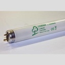 LAMP, L18W/21-840 PLUS